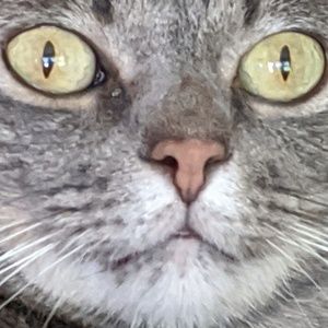 Meet your Posher, Eric